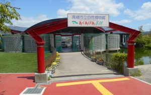 五月のお出かけ