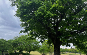 ゴールデンウィークと言えばおでかけ！