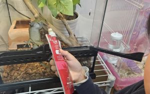 リールスメイト蛍池　2月活動報告　